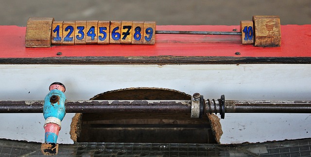 借其独特的 借其独特的