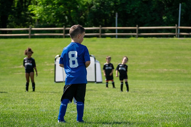 他们凭借扎 他们凭借扎